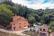 Lain-lain Fiordaliso