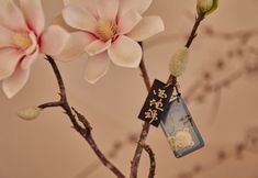 기타 2 Xingzhuzhai Inn