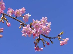 Lainnya 4 Foshan City Small House Apartment