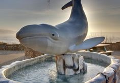 其他 6 Private Kitchen and Outdoor Dining Areas - Tranquil Escape