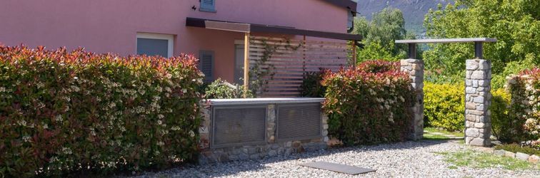 Others Gelsomini (Cco522)