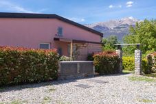 Others Gelsomini (Cco522)