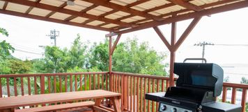 อื่นๆ 3 Hikari Dome