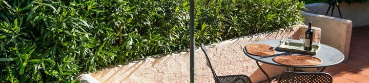 その他 4 Bardeggiano - Caterina 6