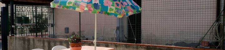 Khác 4 Lavanda (Aeg160)