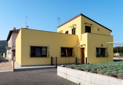 Khác Lavanda (Aeg160)