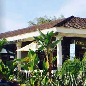 Hotel Exterior 1 Fresh & Walkable Bright Beach Bungalow, San Diego Hotels