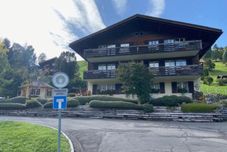 其他 Hubertus 396 D