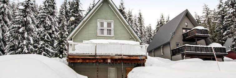 Others Charming, walk-to-lifts cabin with mountain views, kayaks & arcade game