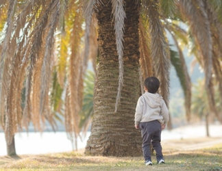 Others 2 Setouchi Island Stays Suo Oshima