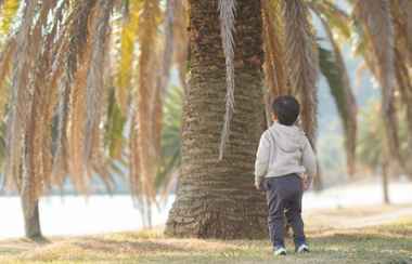 Lain-lain 2 Setouchi Island Stays Suo Oshima