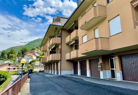 อื่นๆ Vento Errante