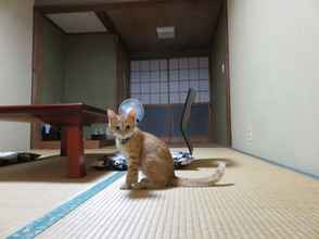 Lainnya 4 Tokusa - Hotspring Ryokan in Forested Mountain Stream