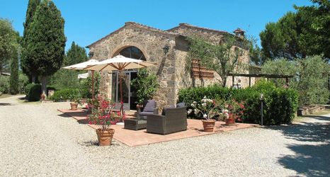 其他 2 Rosa Bianca