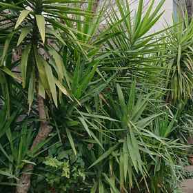 Hotel Interior/Public Areas 1 Stage You, Hotel Stasiun Shindaita