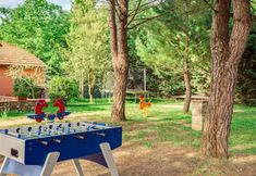 其他 6 Rosa Bianca