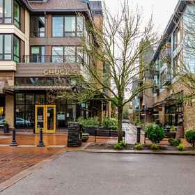 Hotel Exterior1Dog-Friendly Home w/Fast WiFi, Full Kitchen, Gas Fireplace, Private Washer/Dryer,布拉甘萨茶飯店