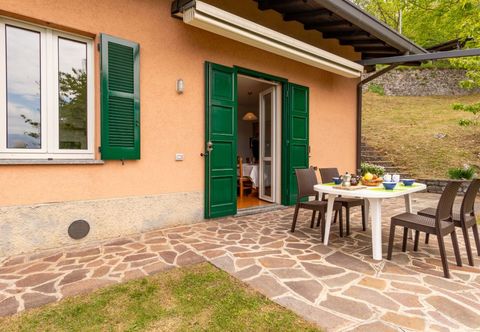 其他 Ronco (Vna216)