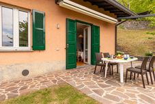 其他 Ronco (Vna216)