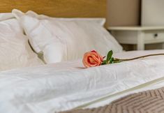 Others 4 Xiaoqi's Homestay