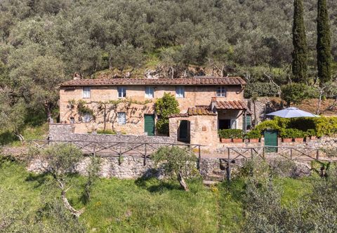 อื่นๆ Il Metatino