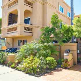 Hotel Exterior 1 Private Rooftop Jacuzzi & Ocean Views – 200 Steps to Sand, Sleeping Tiger Coffees Hotels