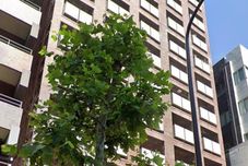 Others GM -- Self Check-in -- Room Number & Password is in The Following Email