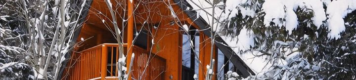 Others 3 Big Bear Chalets