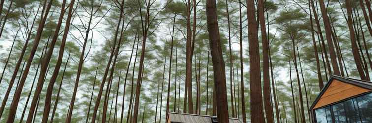 Lainnya Bobocabin Gunung Mas, Puncak