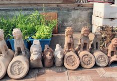 Others 3 Xianchengyuan Farmstay