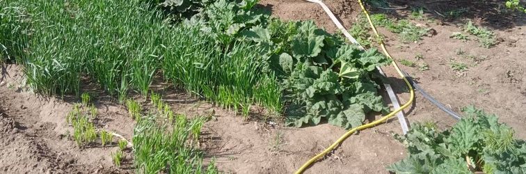 Lainnya Shiyun Xiaozhu Homestay