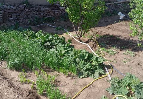 Lainnya Shiyun Xiaozhu Homestay