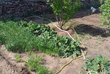 Lainnya Shiyun Xiaozhu Homestay