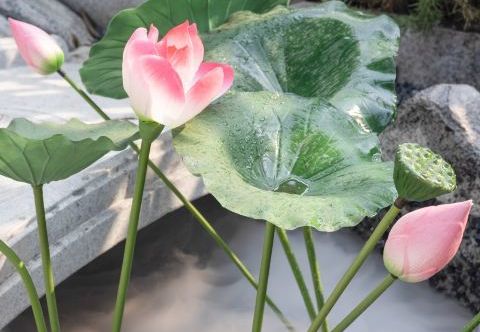 Others Xizi Youfeng Homestay (Lingyin Branch)
