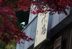 Khác 7 Yunwai Mountain residence in Wudang Mountain (Qiongtai Scenic spot Shop)