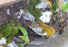 Others 4 Yunshuiyao Yifangju Homestay (Huaiyuan Building Dashuiche Branch)