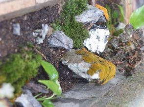 Others 4 Yunshuiyao Yifangju Homestay (Huaiyuan Building Dashuiche Branch)