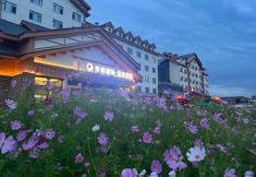 อื่นๆ 4 Jifeng International Hot Spring Hotel.