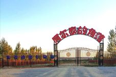 其他 Burqin Aertai De Jiaoluo Homestay