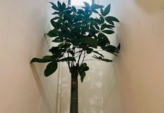 Others 5 Ying Hua Su Hostel