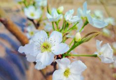 Lainnya 2 Dunhuang Yeziju Inn