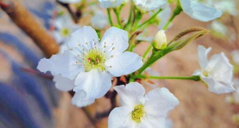 Lainnya 2 Dunhuang Yeziju Inn