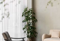 Others 6 Dongjiang Lake Lantingxu Chengyuan Homestay