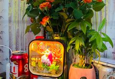 Others 3 Dongli Xiaozhu Youth Hostel