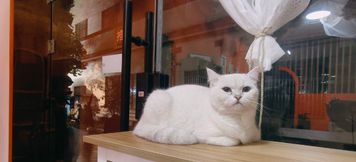 其他 4 Xi'an Shumian Youth Hostel (Bell Tower Drum Tower Huimin Street Branch)