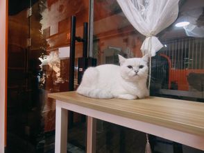 其他 4 Xi'an Shumian Youth Hostel (Bell Tower Drum Tower Huimin Street Branch)