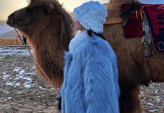 Others 7 Dunhuang No.7 Starry Sky Desert Hotel