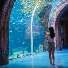 Fitness & Recreational Facilities 1 Mei e Collection Hotel (Chongqing Sunac Cultural Tourism City), Chongqing Municipality Medical Waste Disposal Center Hotels