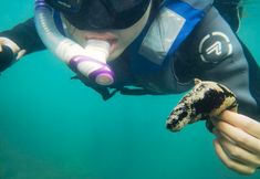 Others 7 Sanya House Xinya Home Boutique Homestay