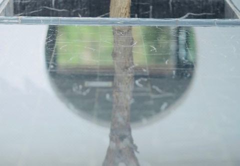 Others Dunhuang Luyeyousha Inn